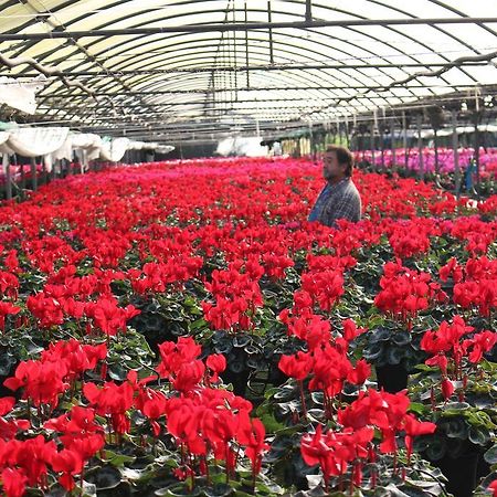 Casa Rural Ibarrondo Etxea Mungia Ngoại thất bức ảnh