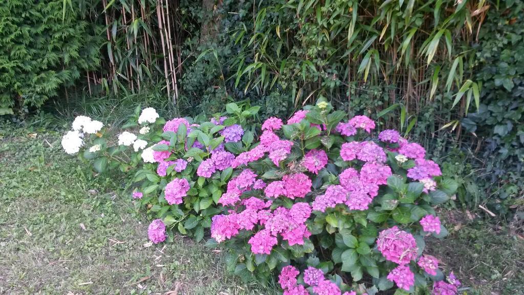 Casa Rural Ibarrondo Etxea Mungia Ngoại thất bức ảnh